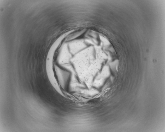 X0000070210720200606161641