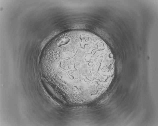 X0000070210721200606161641