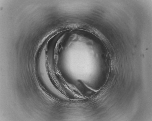 X0000070210722200606161641