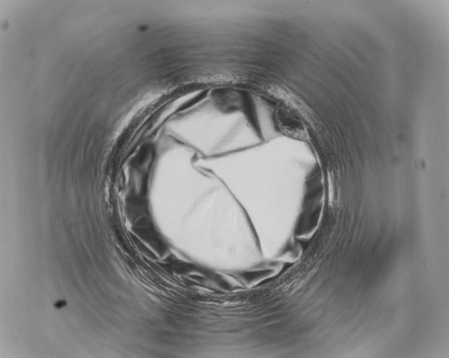 X0000070210723200606161641