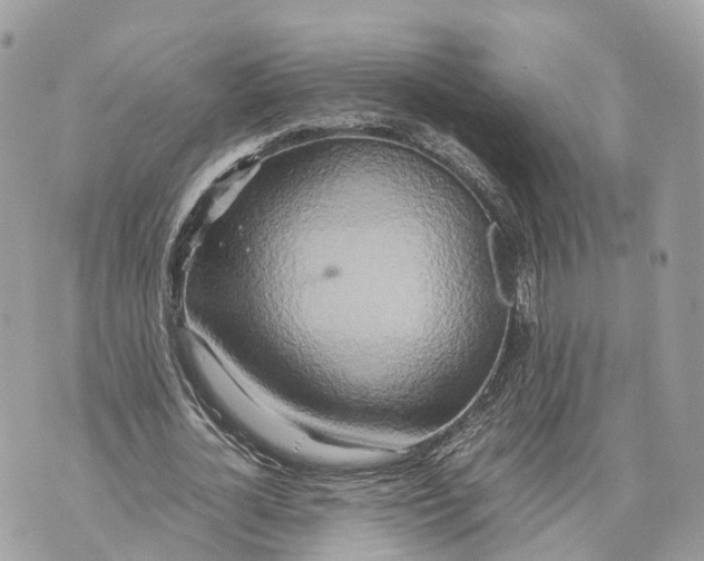 X0000070210724200606161641