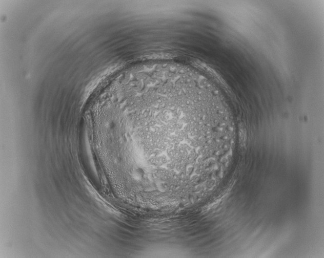 X0000070210725200606161641