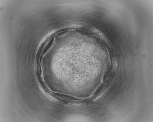 X0000070210726200606161641