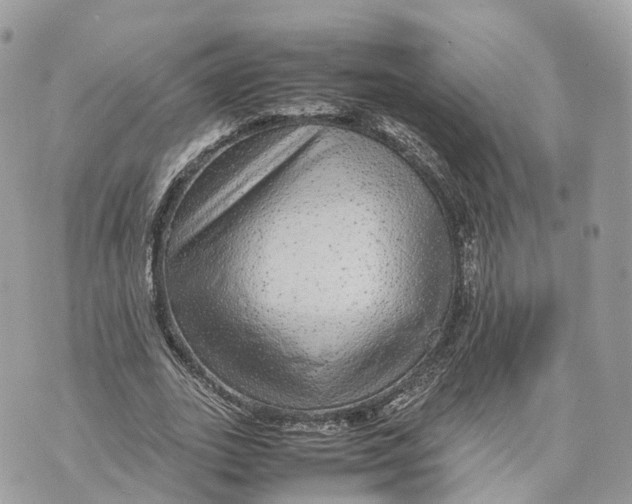 X0000070210727200606161641