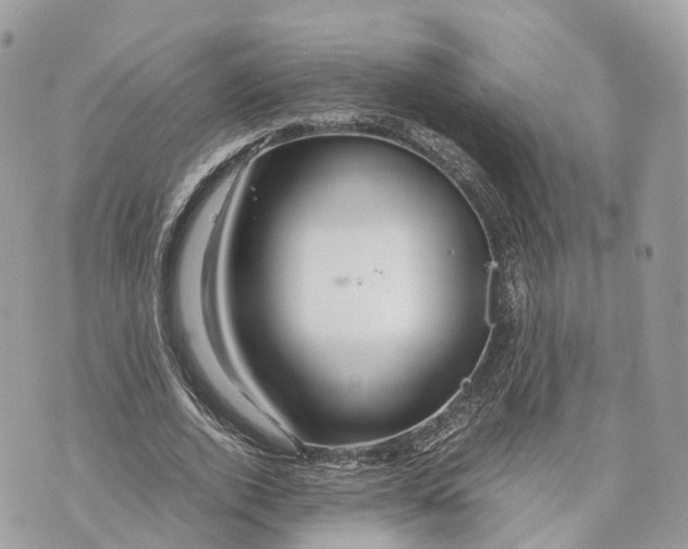 X0000070210728200606161641