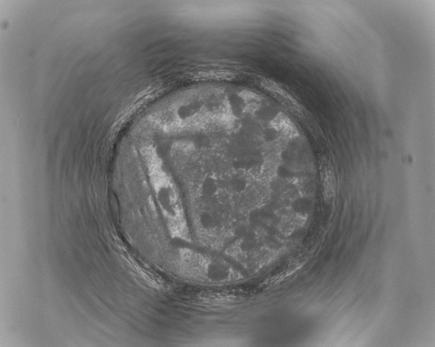 X0000070210729200606161641