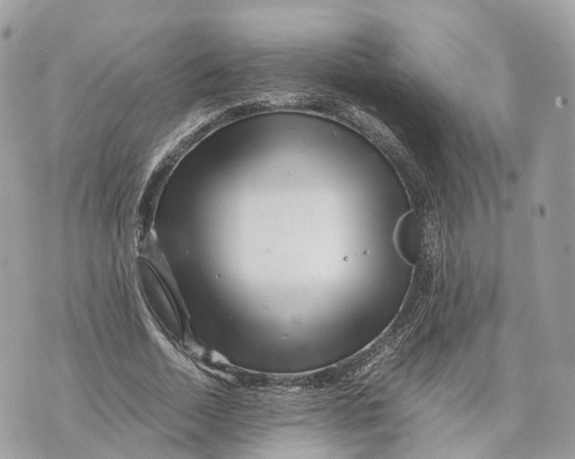 X0000070210730200606161641