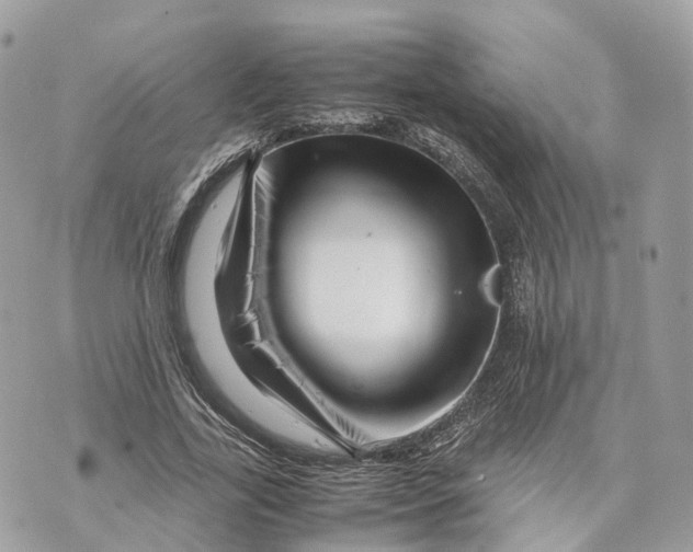 X0000070210731200606161641