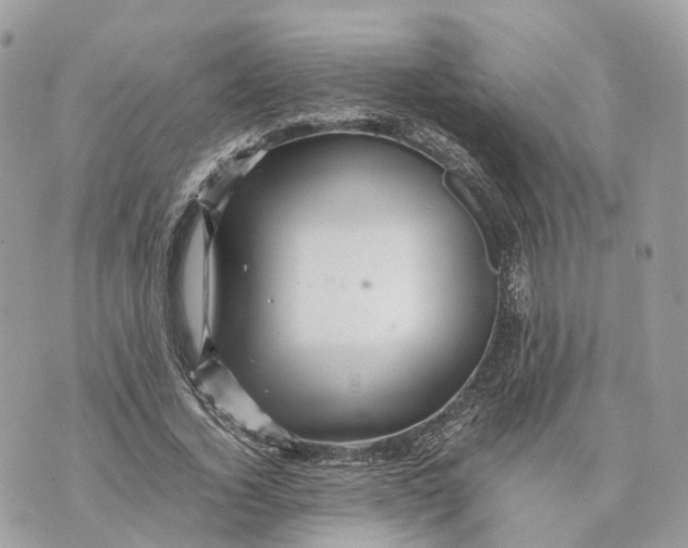 X0000070210732200606161641