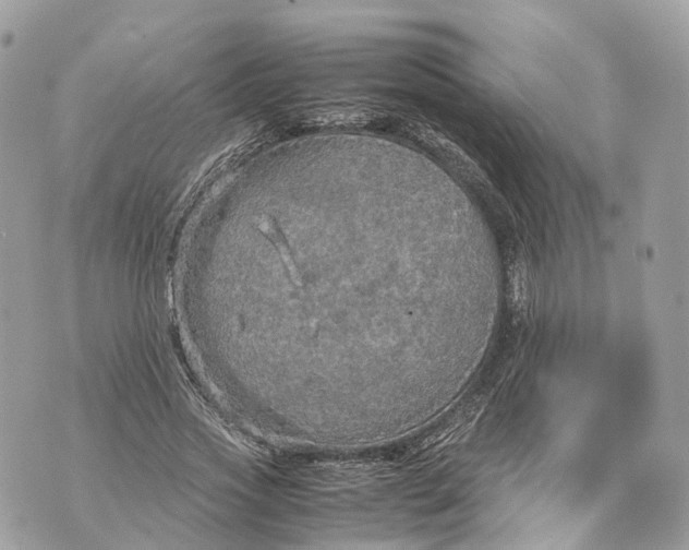 X0000070210733200606161641