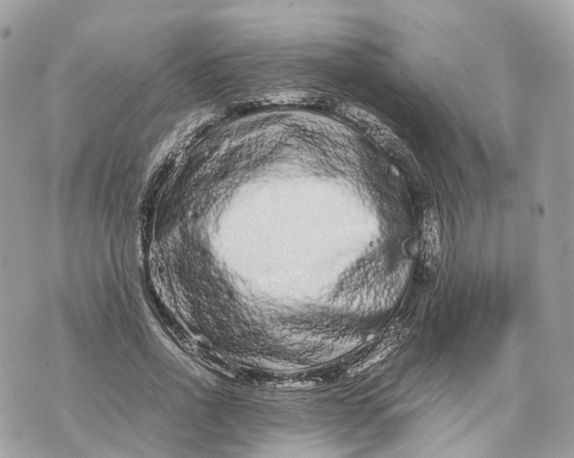 X0000070210734200606161641