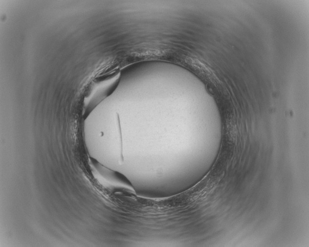 X0000070210735200606161641