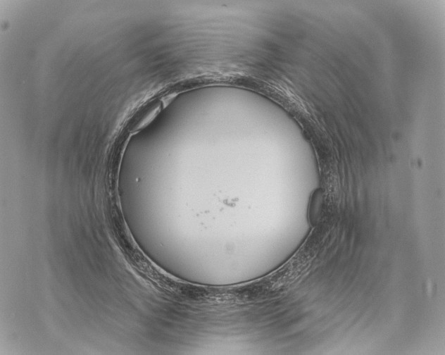 X0000070210736200606161641