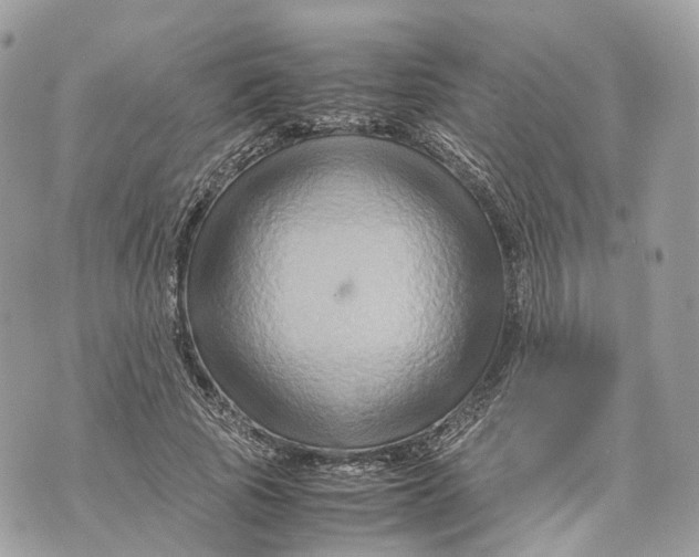 X0000070210737200606161641