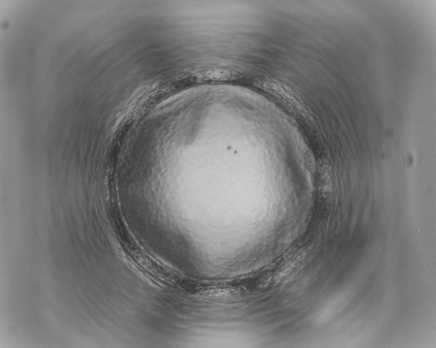 X0000070210738200606161641