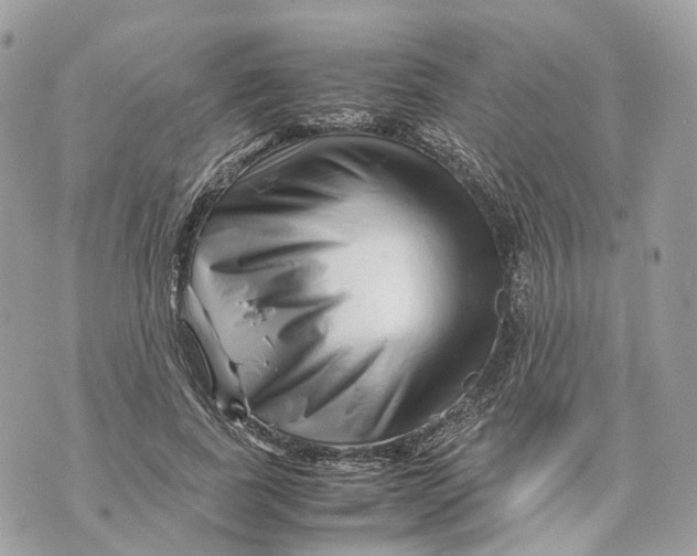 X0000070210739200606161641