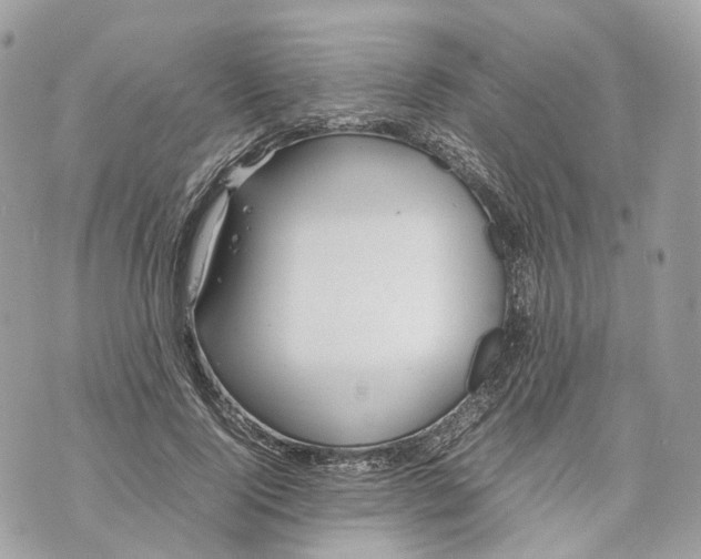 X0000070210740200606161641