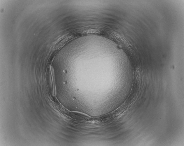 X0000070210741200606161641