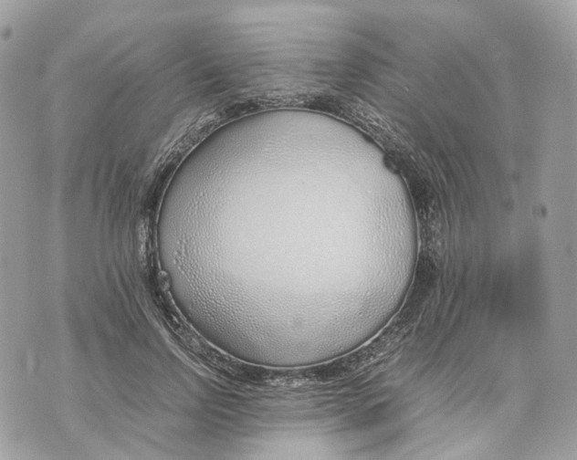 X0000070210742200606161641