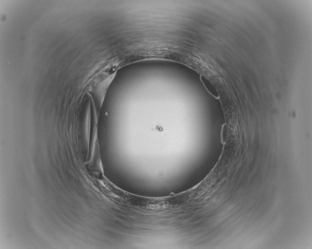 X0000070210744200606161641