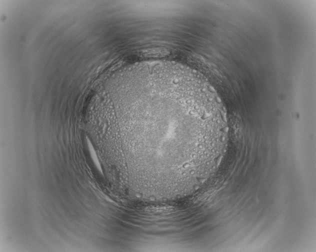 X0000070210745200606161641