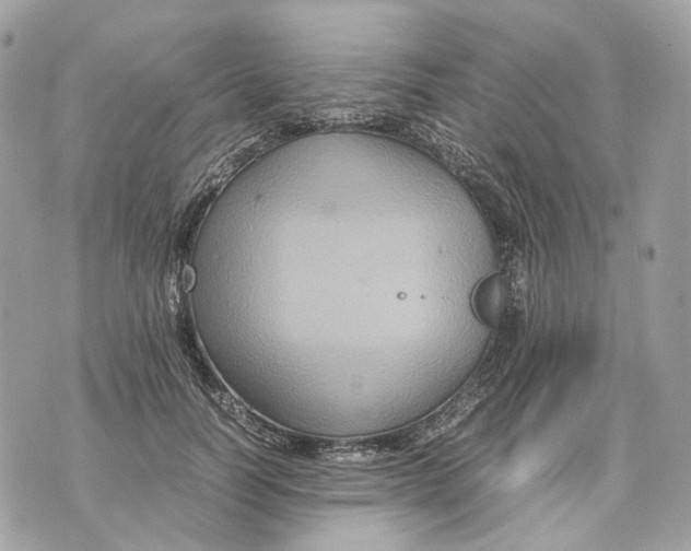 X0000070210746200606161641