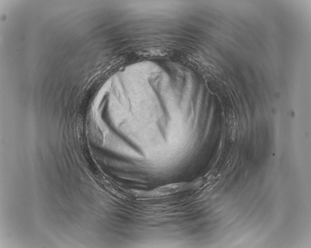 X0000070210747200606161641