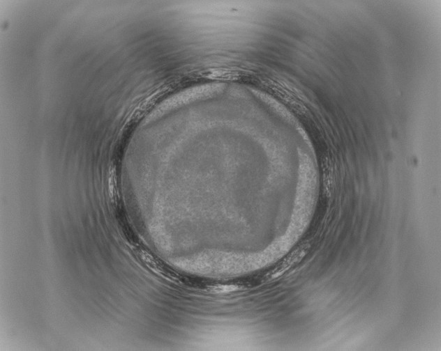 X0000070210748200606161641