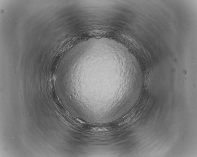 X0000070210749200606161641