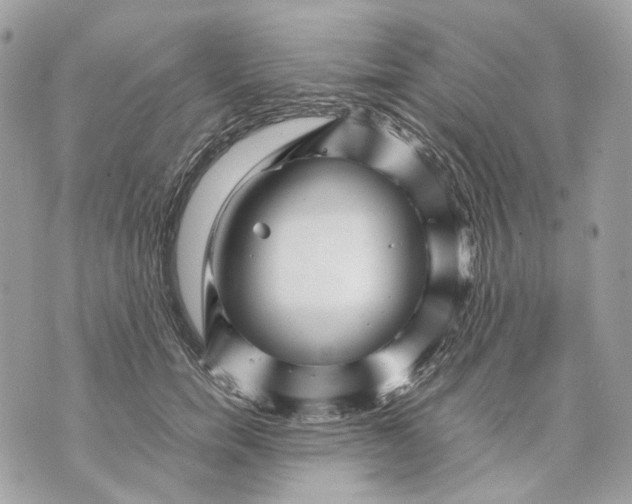 X0000070210750200606161641