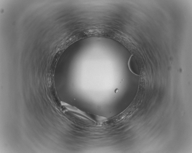 X0000070210751200606161641