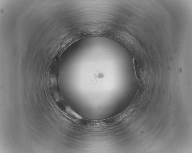 X0000070210752200606161641