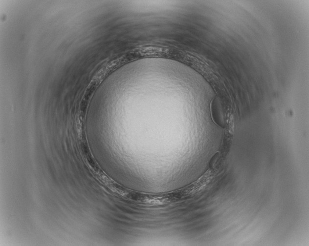 X0000070210753200606161641