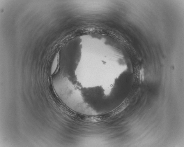 X0000070210754200606161641