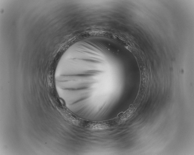 X0000070210755200606161641