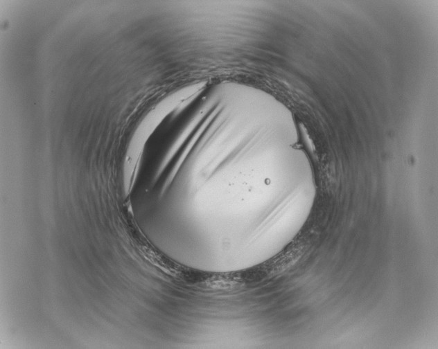 X0000070210756200606161641