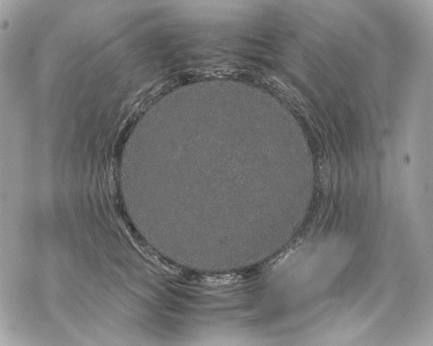 X0000070210757200606161641