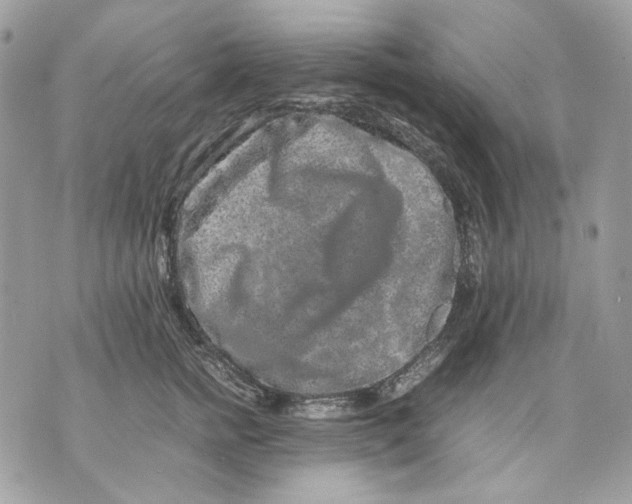 X0000070210758200606161641