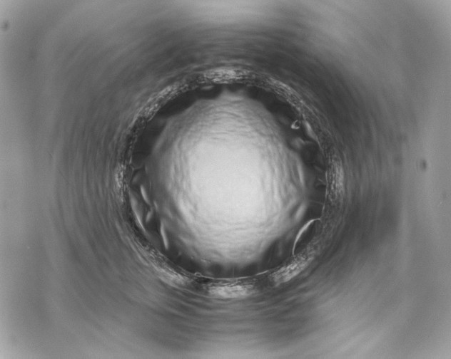 X0000070210759200606161641