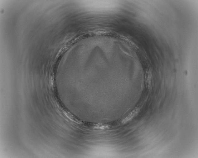 X0000070210760200606161641