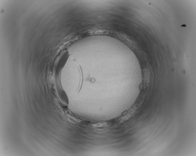 X0000070210761200606161641