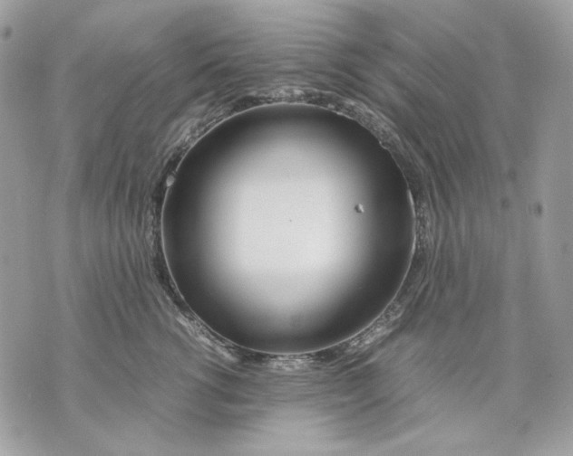 X0000070210762200606161641