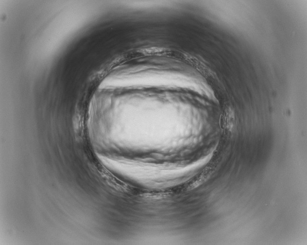 X0000070210763200606161641