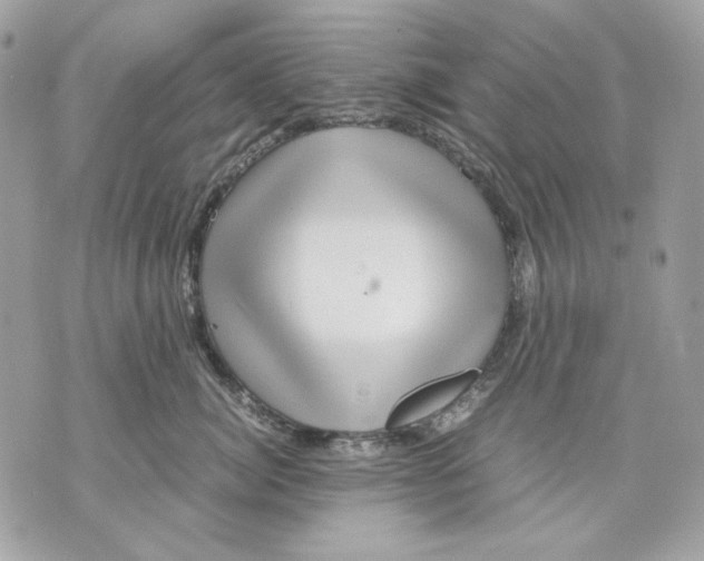 X0000070210764200606161641