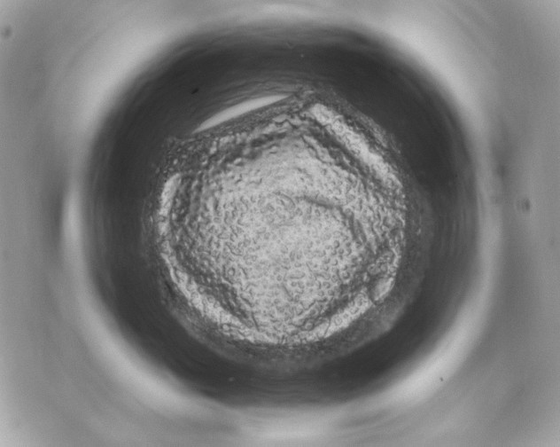 X0000070210765200606161641