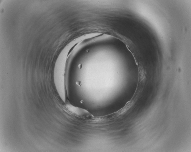 X0000070210766200606161641