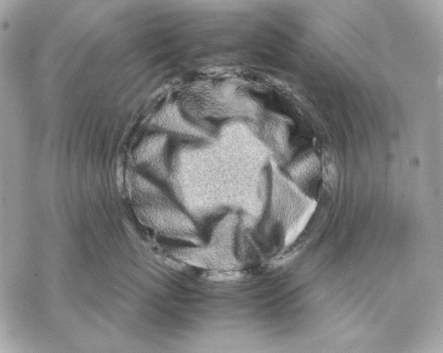 X0000070210767200606161641