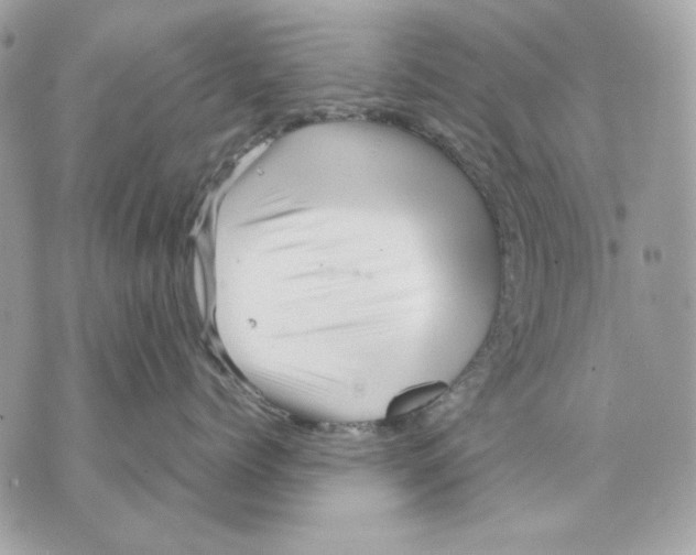 X0000070210768200606161641