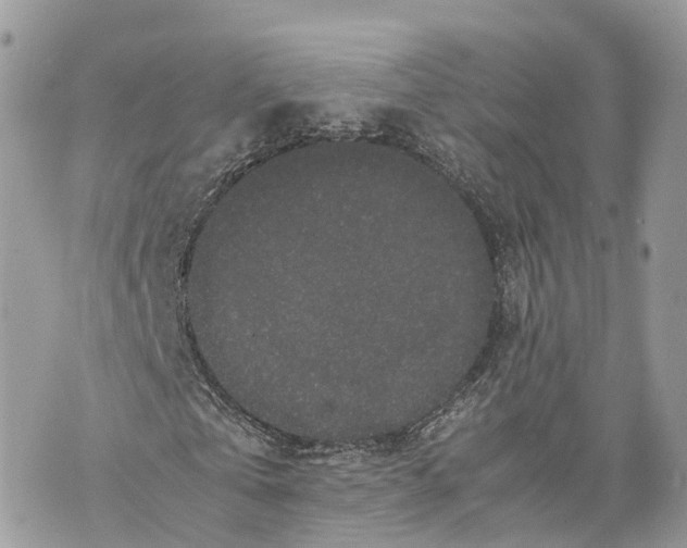 X0000070210769200606161641