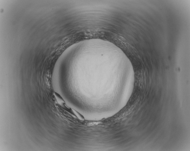 X0000070210770200606161641